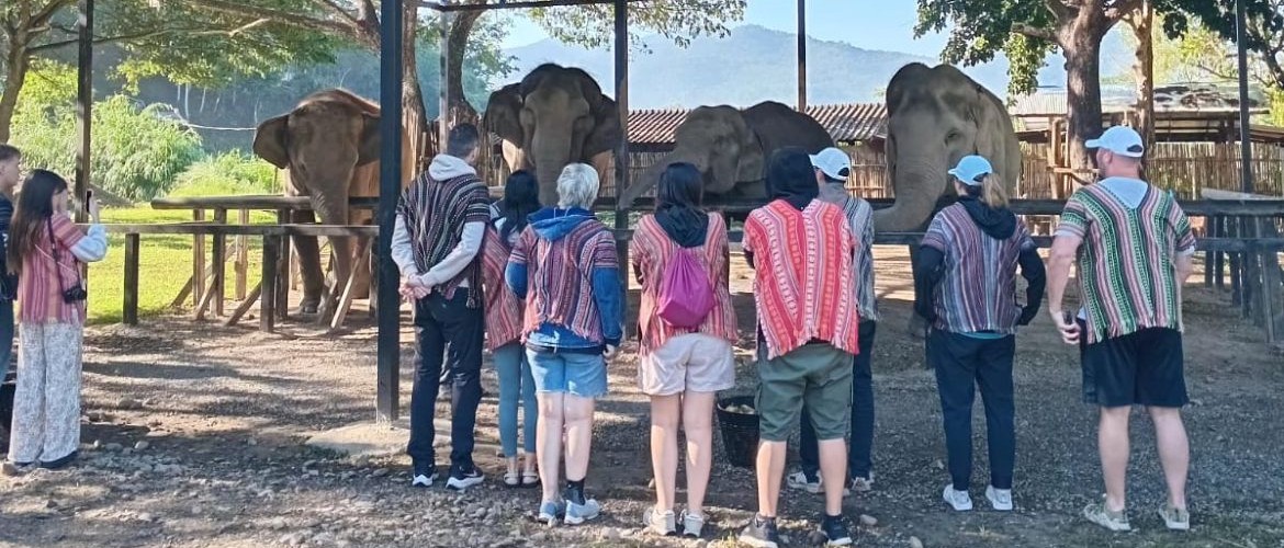 Thailand Tours Testimonials & Reviews by Real Customers