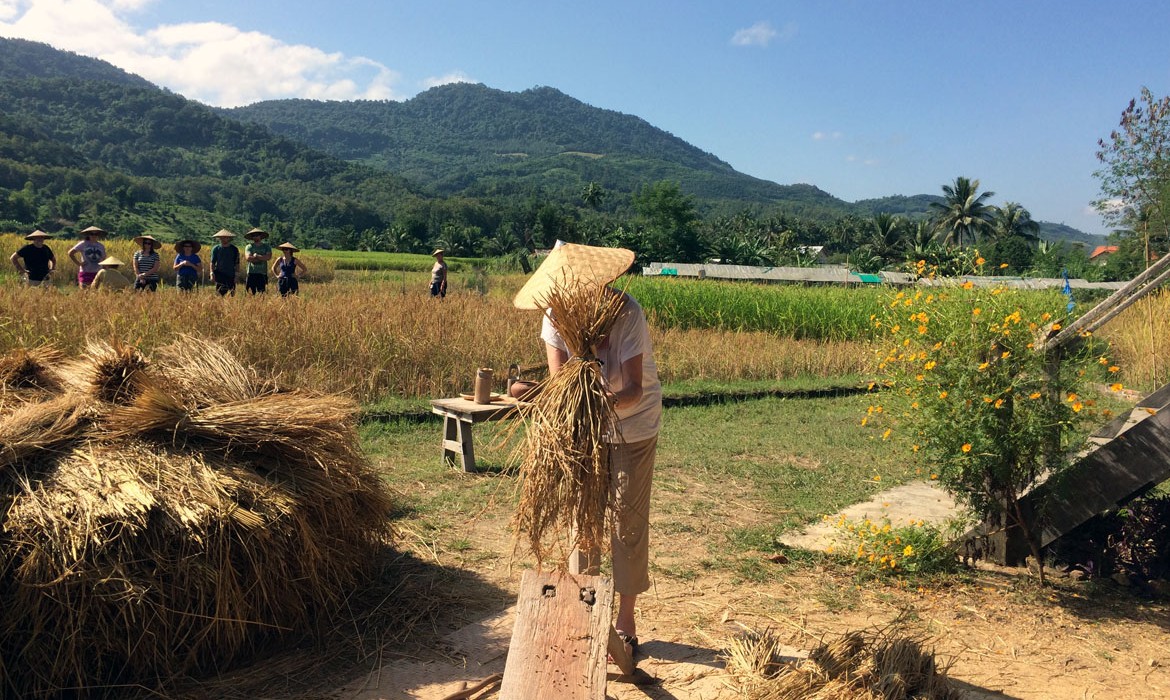 Thailand Tours Testimonials & Reviews by Real Customers